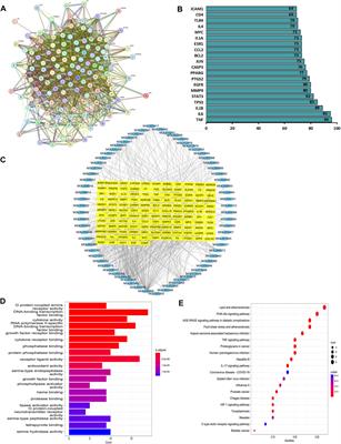 Frontiers | exploration of the mechanism of qi-xian decoction in